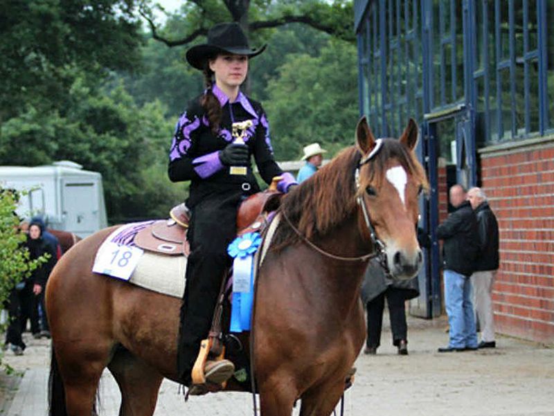 Freibergerstute Samira 2012 bei der All Novice Show Marl 2012